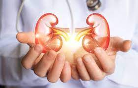 pediatric-nephrology